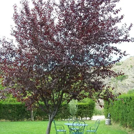 Apartmán Casa Esperanza - Ordesa *