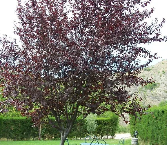 Apartment Casa Esperanza - Ordesa *